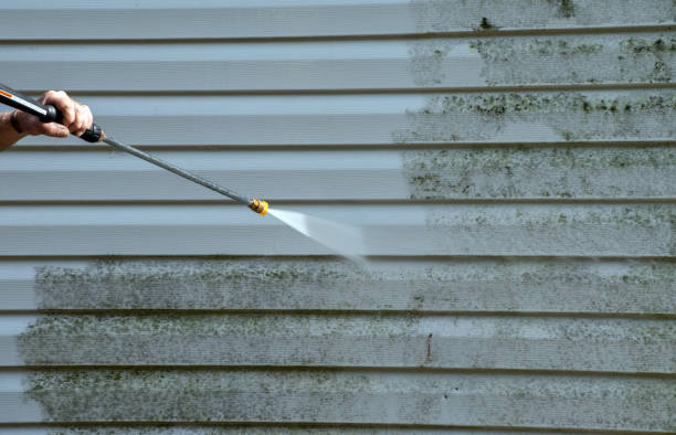 Best Roof Washing  in Ladoga, IN