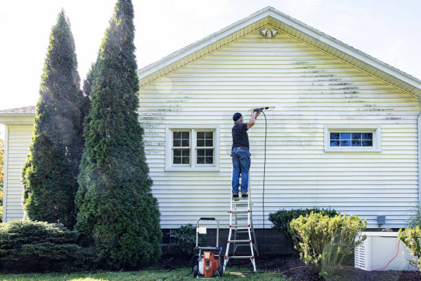 Best Building Exterior Washing  in Ladoga, IN